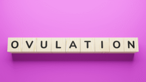 women ovulate at the same time every month